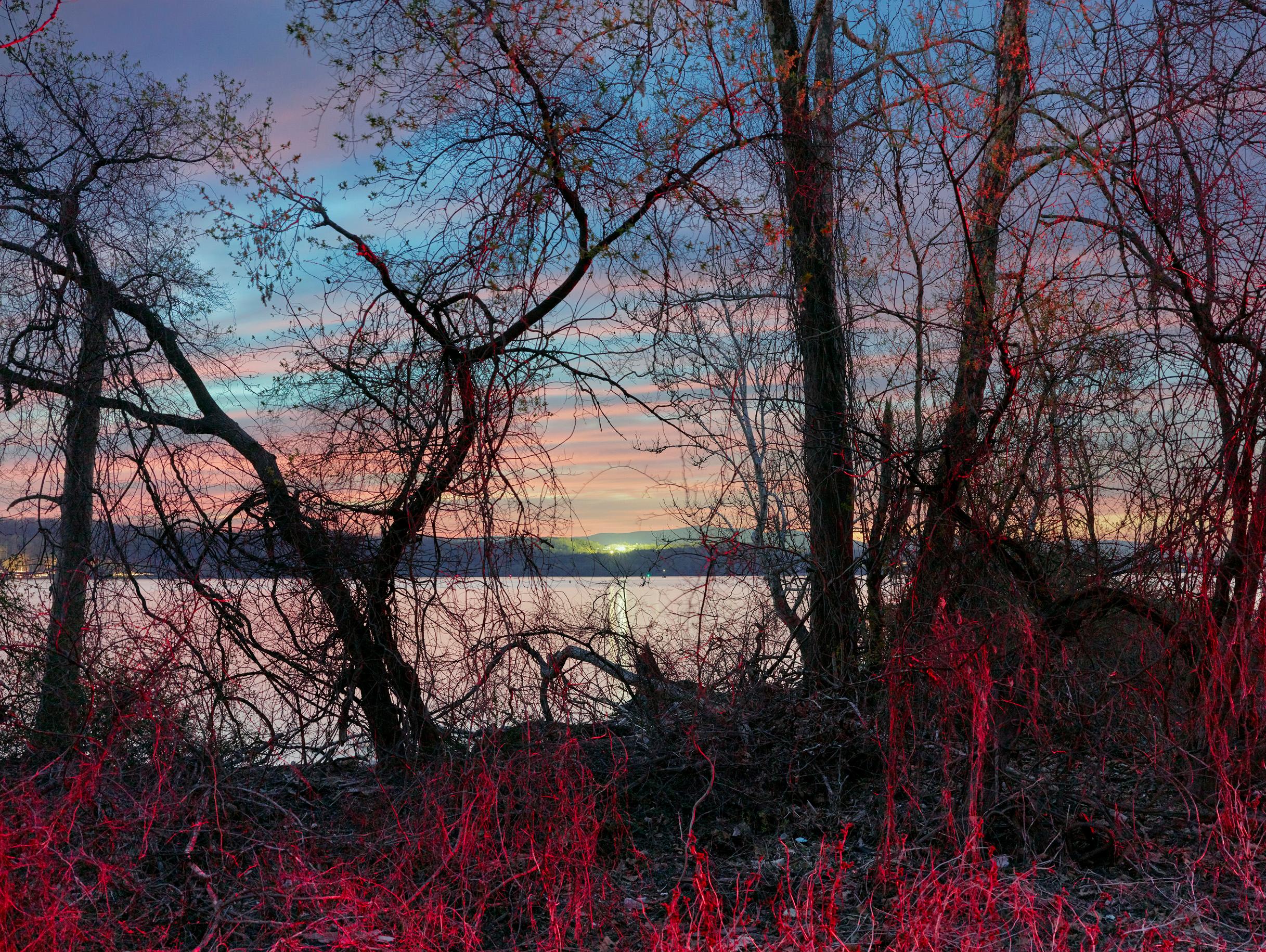 Night view looking across the Hudson River

Size & Edition:
40" x 50” - Edition of 5 + 2 Artist Proofs

This photograph will be printed once payment has been received and will ship directly from the printer the artist works with. Your certificate of