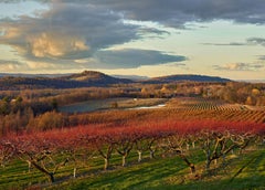 Andrew Moore - Fattoria Eger Brothers, Livingston, Fotografia 2022, Stampato Dopo