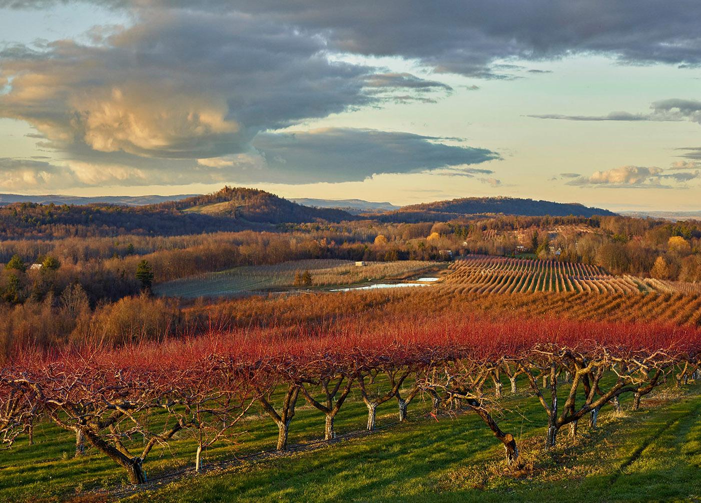 Andrew Moore - Eger Brothers Farm, Livingston, photographie 2022, imprimée d'après