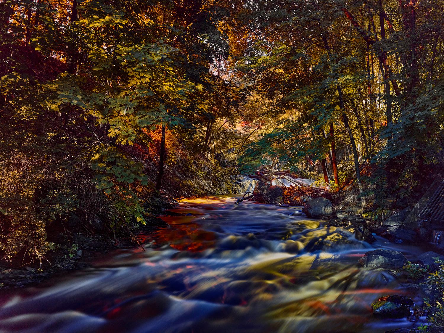Stream lit by lights of the city

Size & Edition:
40" x 50” - Edition of 5 + 2 Artist Proofs

This photograph will be printed once payment has been received and will ship directly from the printer the artist works with. Your certificate of