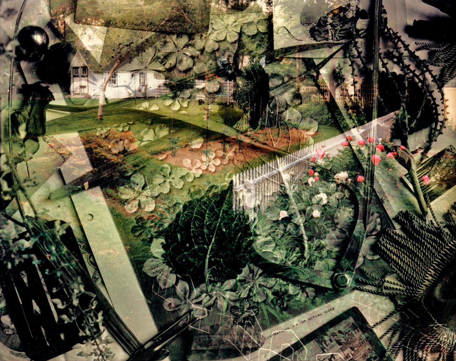 Archival Pigment Print

Early montage

All available sizes & editions for each size of this photograph:
30" x 40” - Edition of 5 + 2 Artist Proofs
40" X 50"- Edition of 5 + 2 Artist Proofs

This photograph will be printed once payment has been