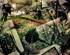 Andrew Moore - Garden of Dreams (Nostalgia), Photography 1986, Printed After