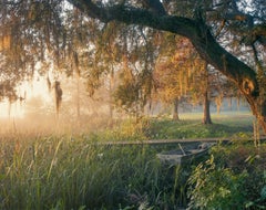 Andrew Moore - Low Country in fog, South Carolina, 2015, Printed After