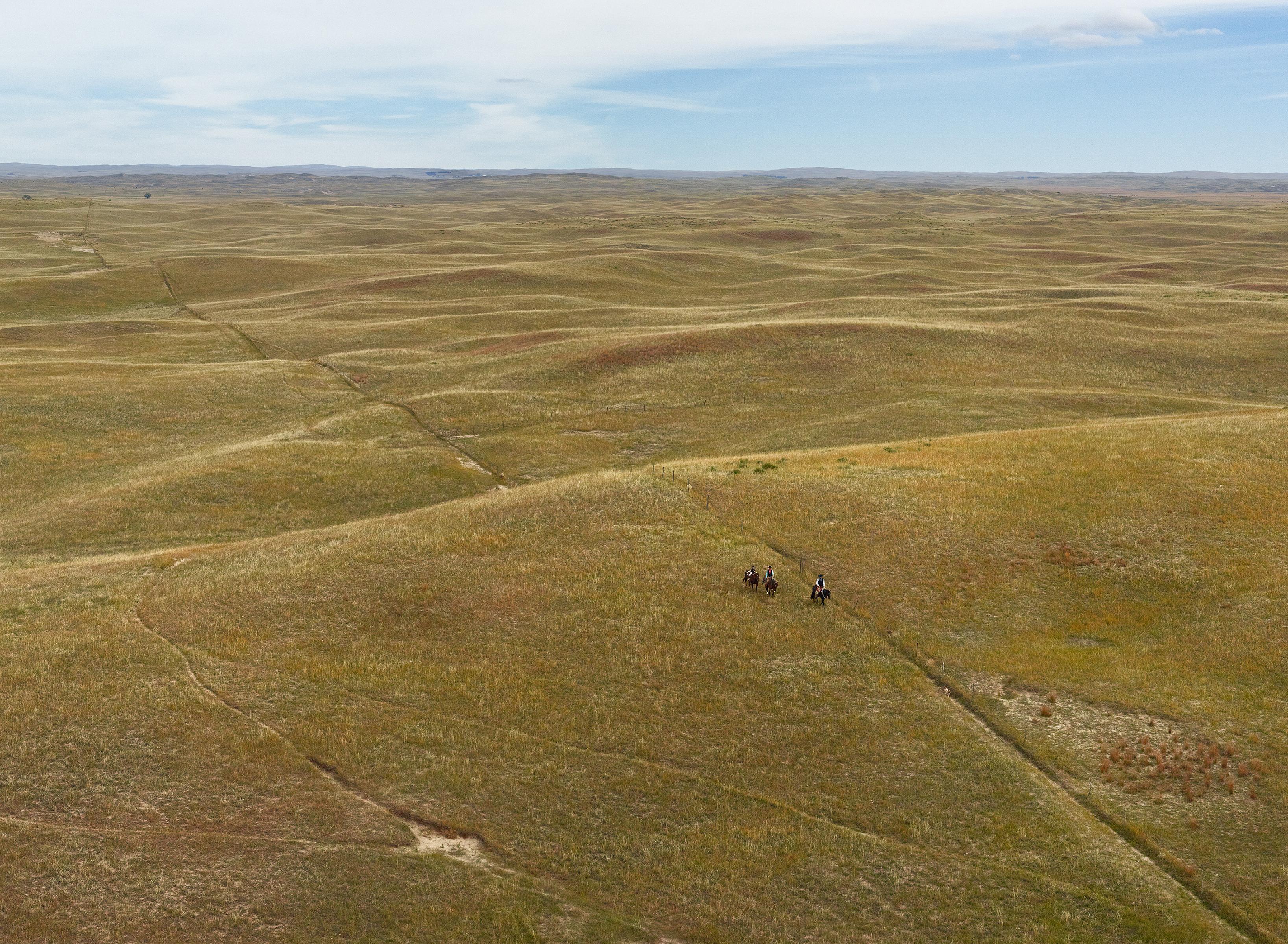 Archival Pigment Print

.  Riding Fence, Sheridan County Nebraska, 2013
Heidi and Brock Terrell and their son Royal (led by their red heeler) ride fence along their land in Sheridan County. They not only raise both cattle and sheep but they also