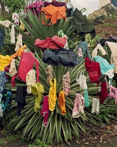 Andrew Moore - Ropa Limpia, Cuba, Photography 2012, Printed After