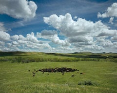 Andrew Moore - Round Up 2, Photography 2024, Printed After