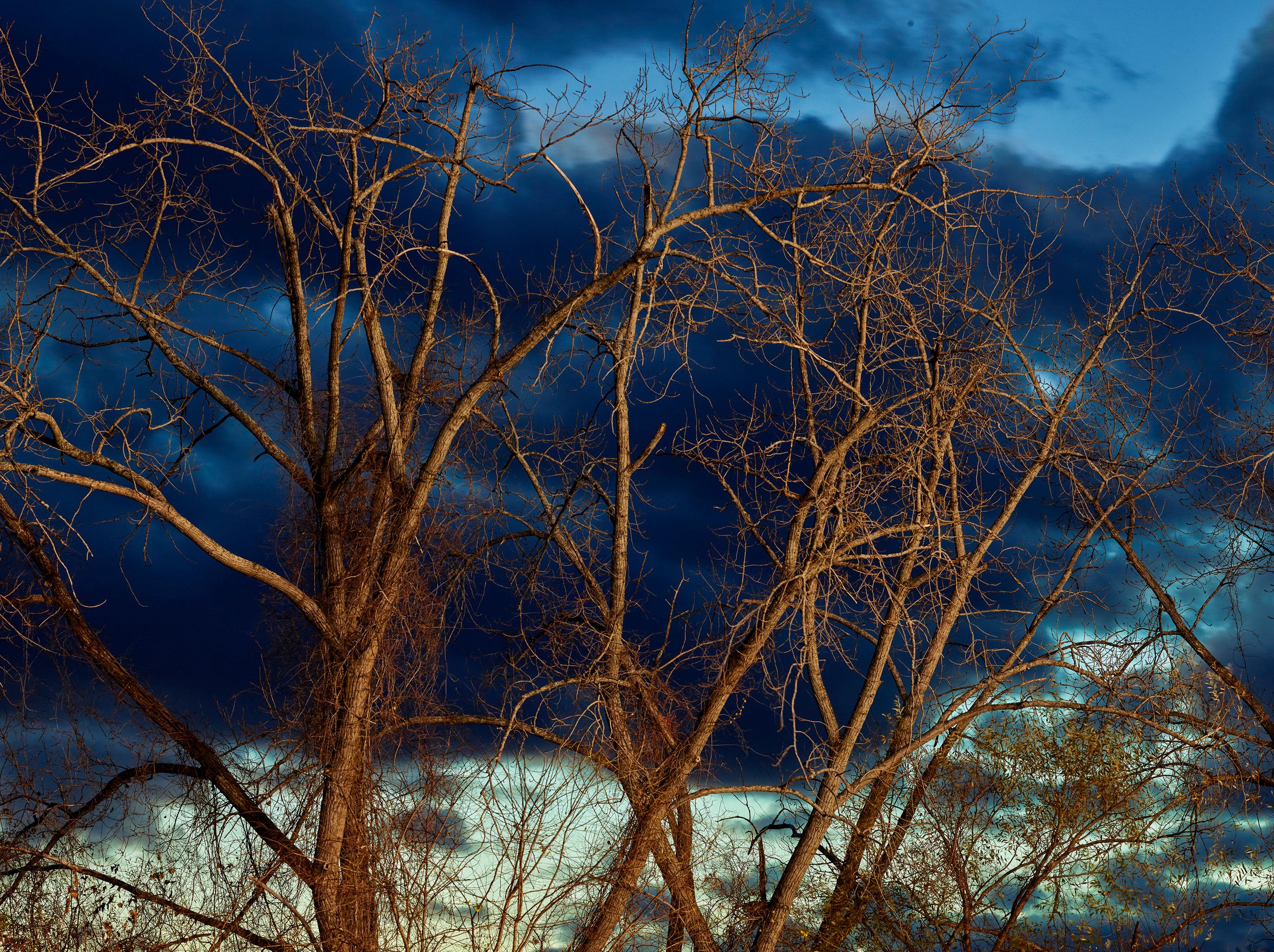 Oak e nuvole temporalesche

Dimensioni ed edizione:
40" x 50" - Edizione di 5 + 2 prove d'artista

Questa fotografia verrà stampata una volta ricevuto il pagamento e verrà spedita direttamente dalla tipografia con cui l'artista lavora. Il