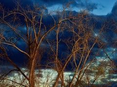 Andrew Moore - Scarlet Oaks, Kingston Point, photographie 2022, imprimée d'après