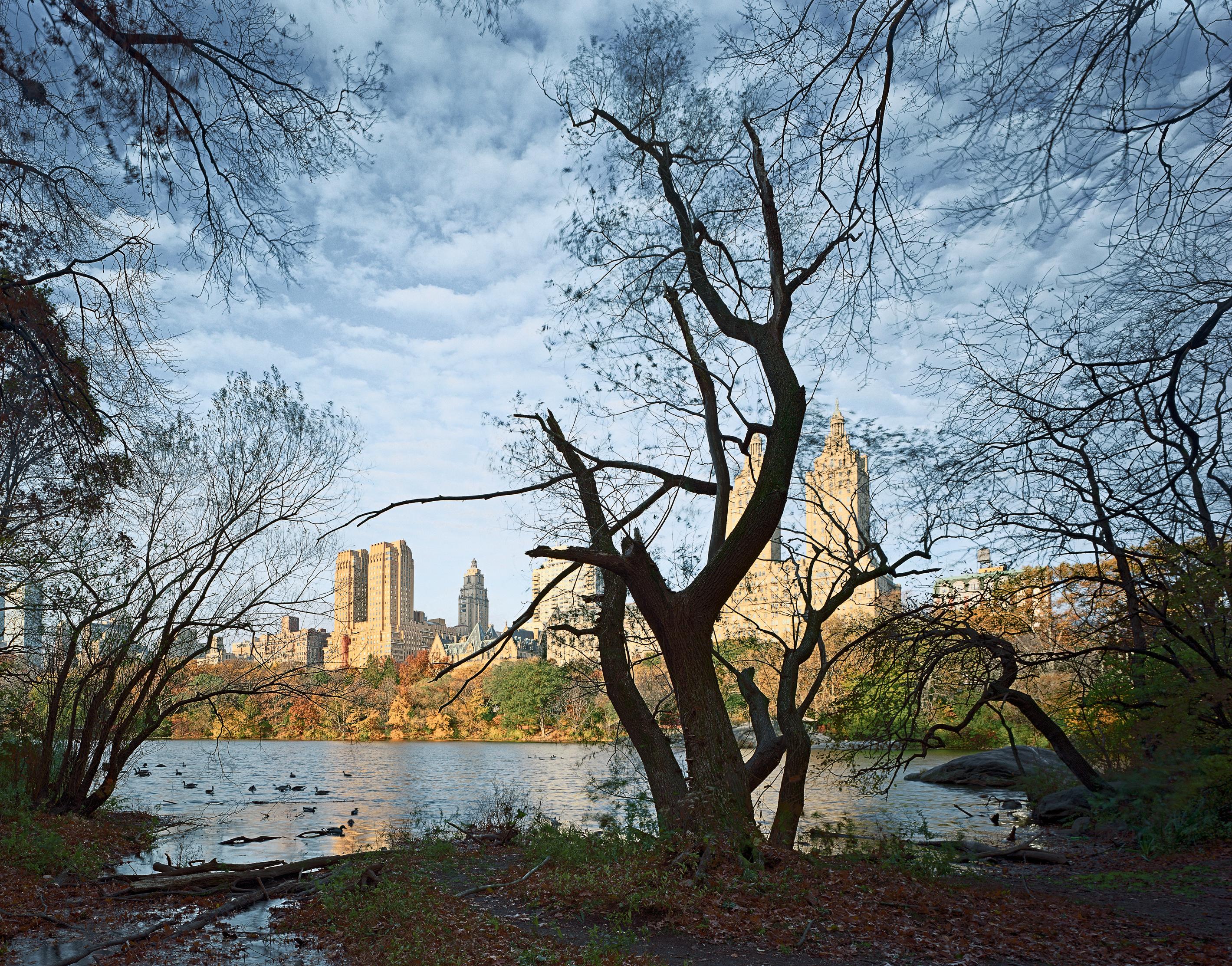 Archival Pigment Print

Central Park

All available sizes & editions for each size of this photograph:
30" x 40” - Edition of 5 + 2 Artist Proofs
40" X 50"- Edition of 5 + 2 Artist Proofs
50" X 60"-  Edition of 5 + 2 Artist Proofs

This photograph