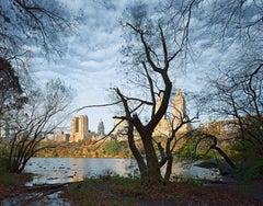 Andrew Moore - The Ramble, NYC, Fotografie 2004, Nachdruck