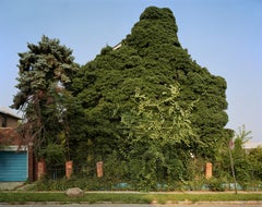 Andrew Moore – WaldenStreet, Fotografie 2008, Nachdruck gedruckt