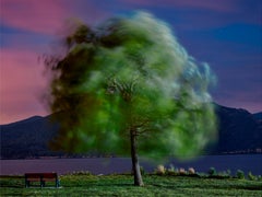 Color Photography