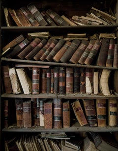 Attic Shelves (Law books) (40"x30")