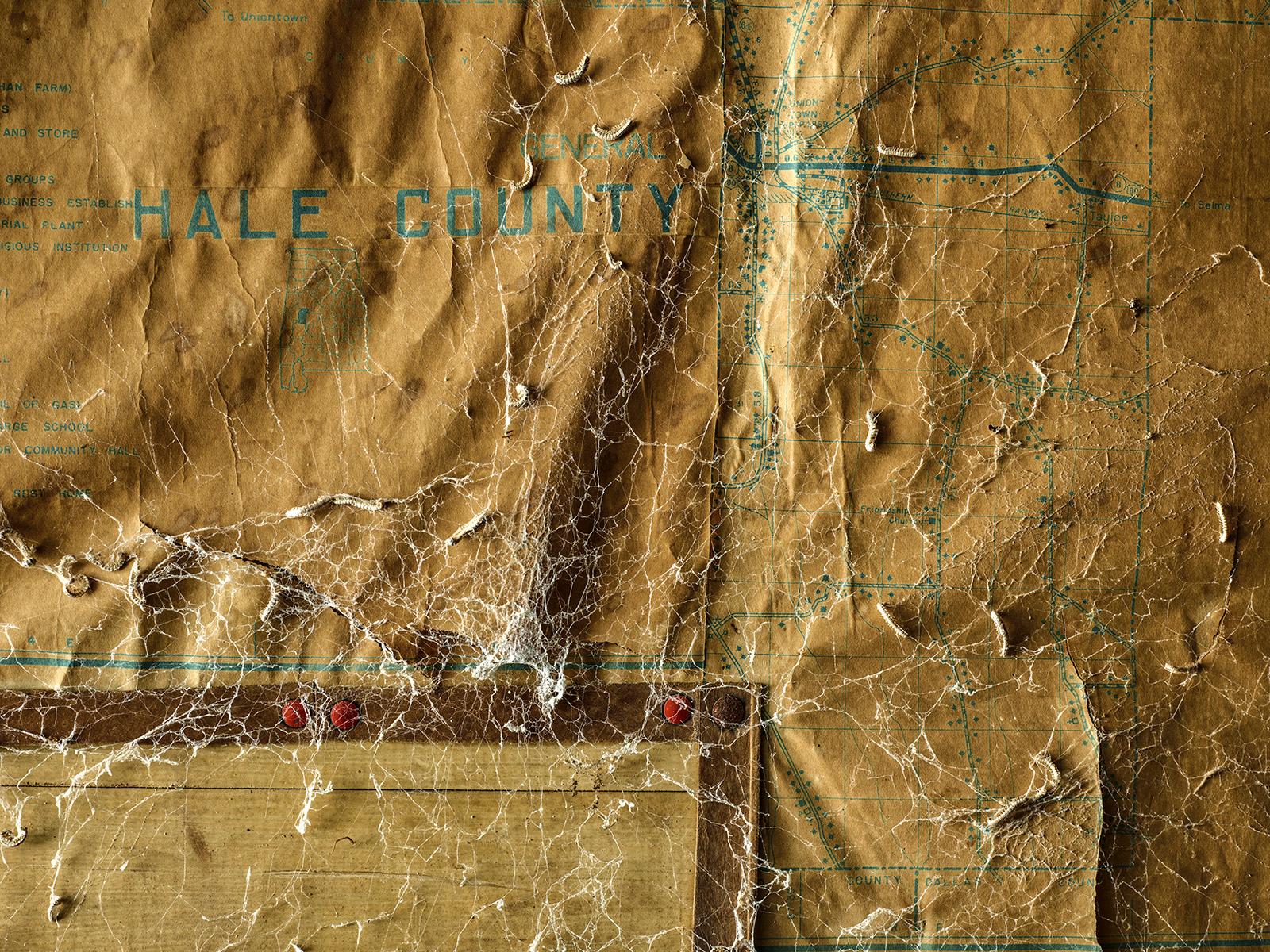 Andrew Moore Landscape Photograph - Hale County Map, Marion, AL
