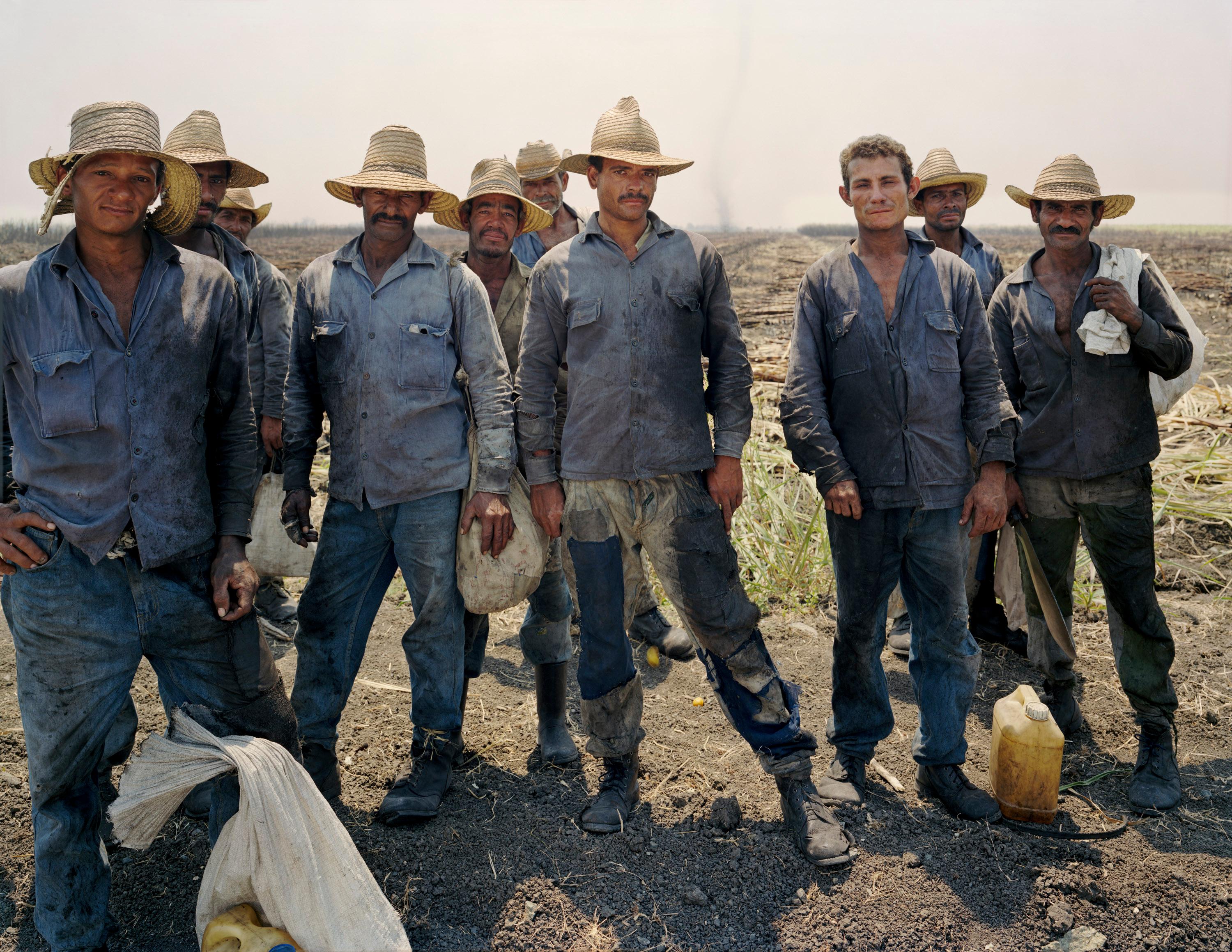 Los Caneros (50"x60")