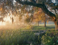 Low Country, South Carolina, 2015 - Andrew Moore (Colour Photography)