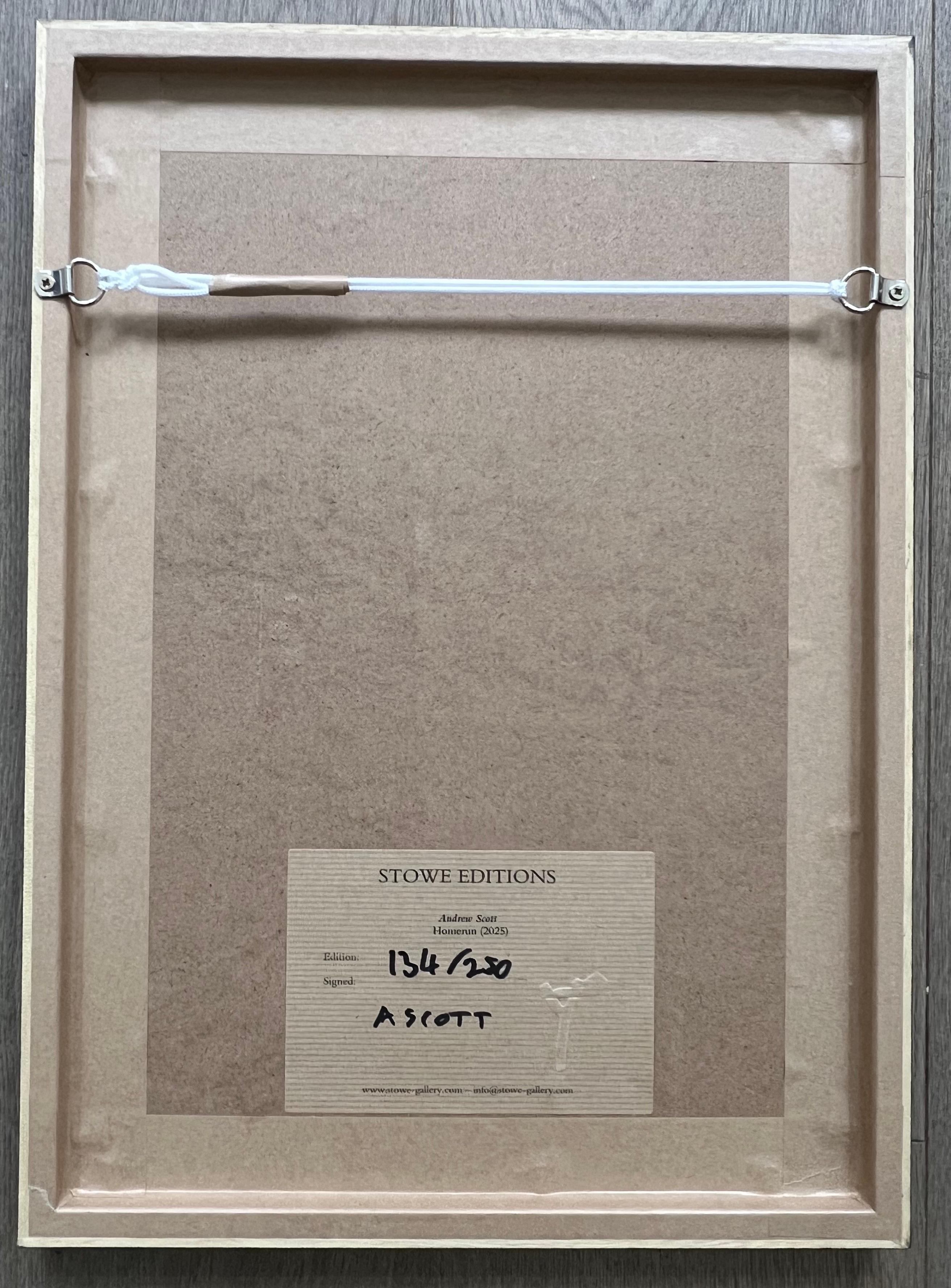 Home Run - Print by Andrew Scott