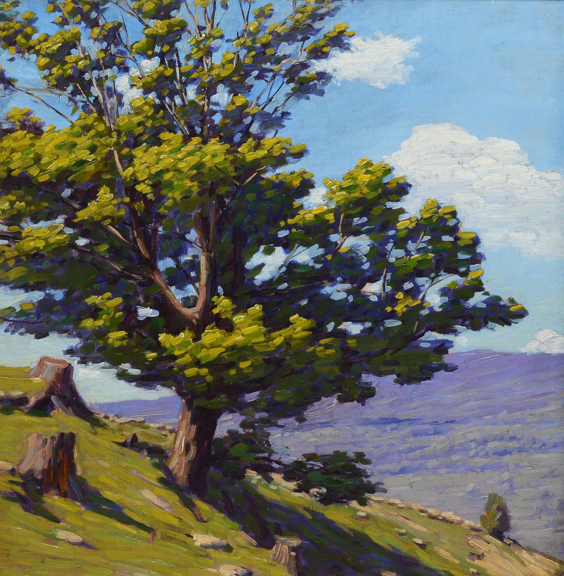 American Impressionist Summer Panoramic Landscape by Andrew Thomas Schwartz 4