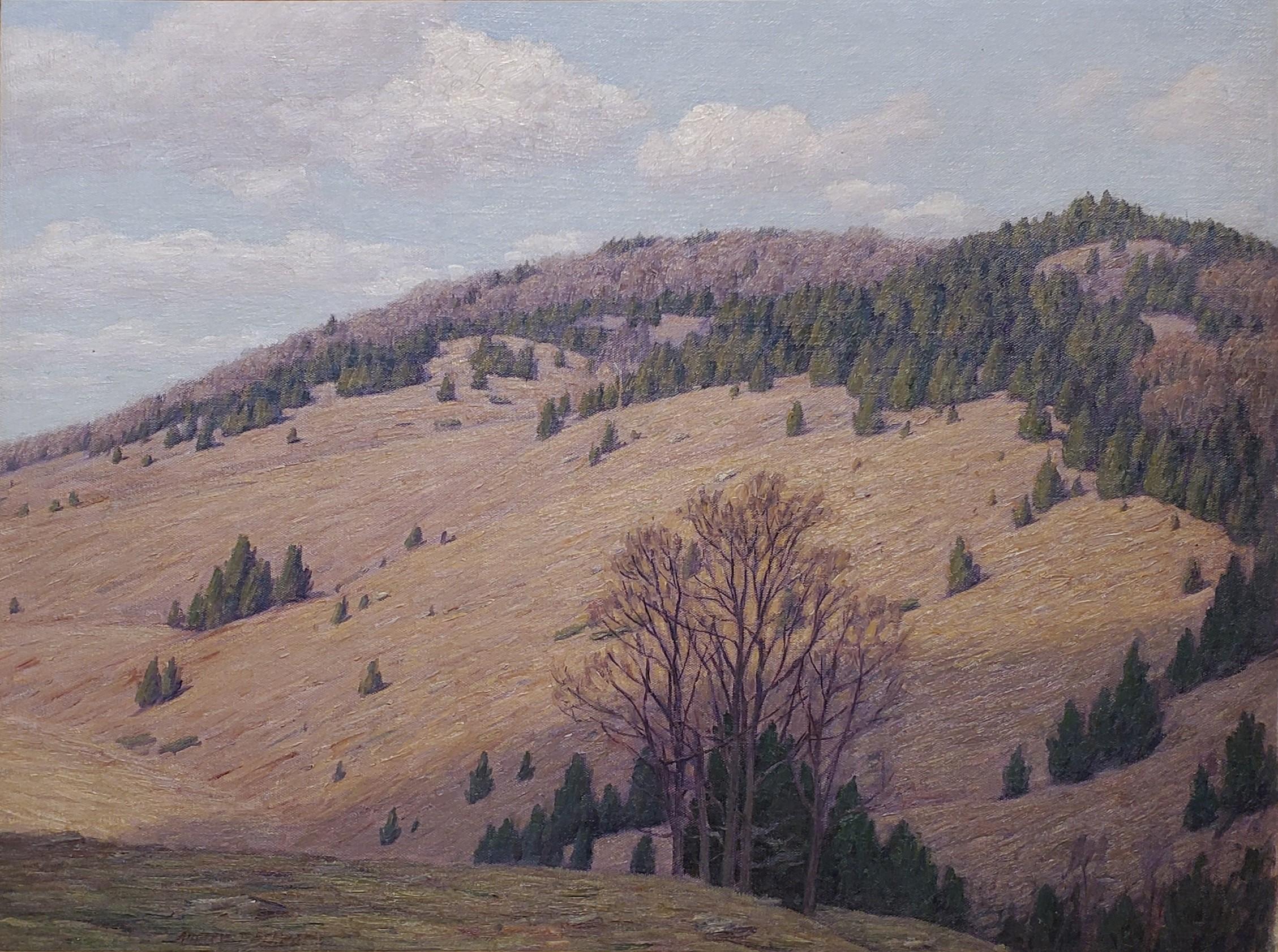 Mountain Landscape signed by Andrew T. Schwartz - Painting by Andrew Thomas Schwartz