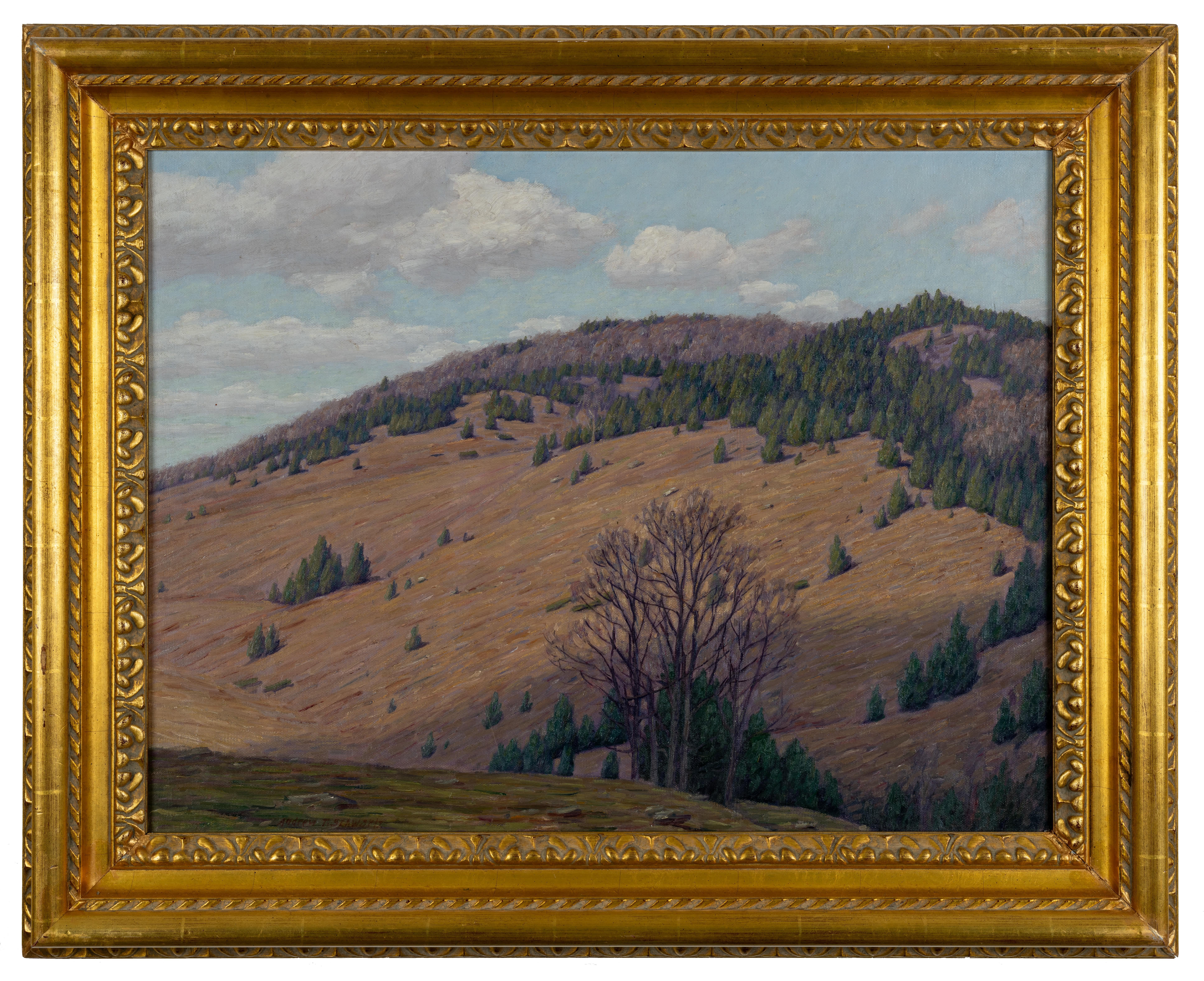 Andrew Thomas Schwartz Landscape Painting – Shining Hills