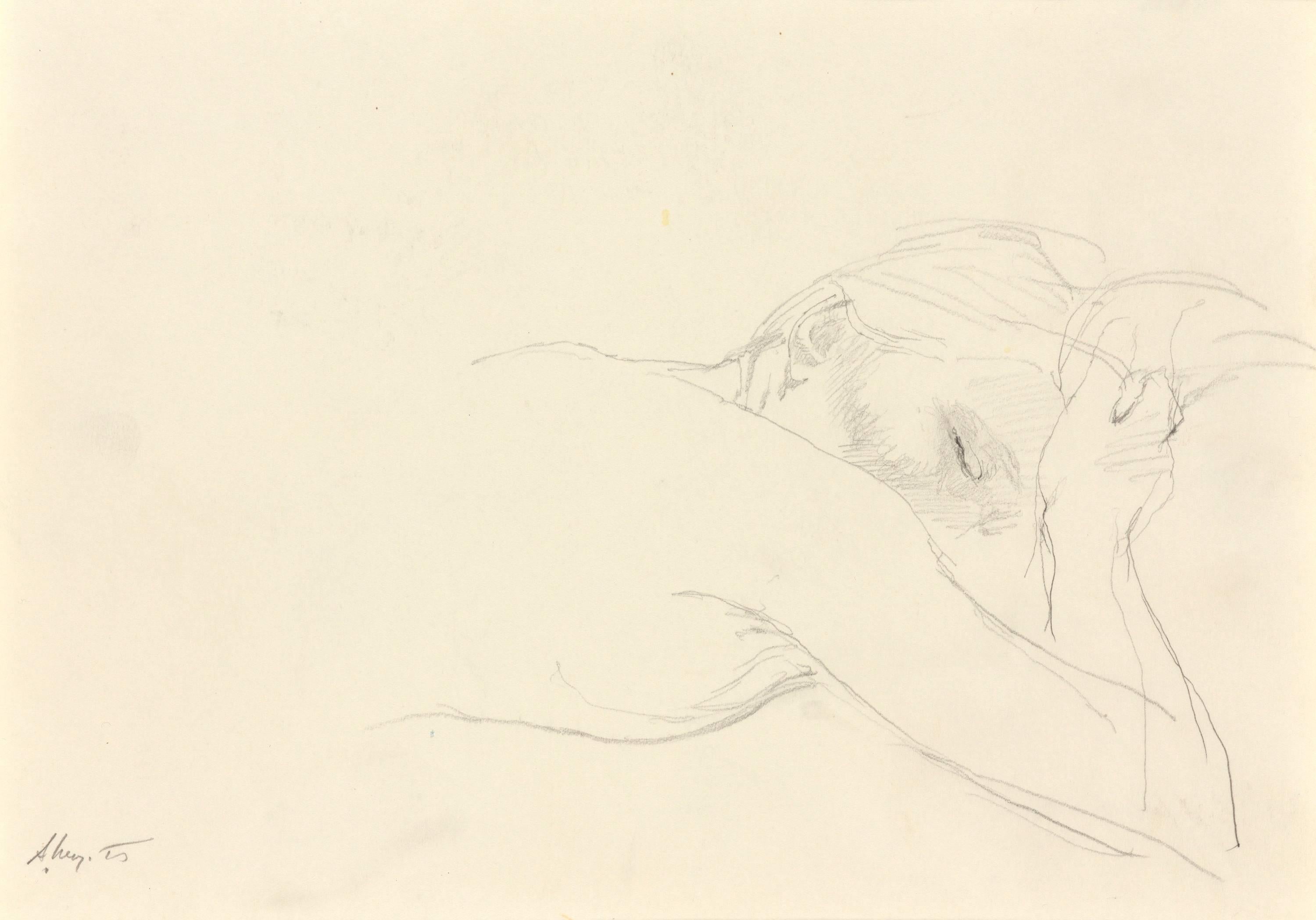 Andrew Wyeth Nude - Asleep