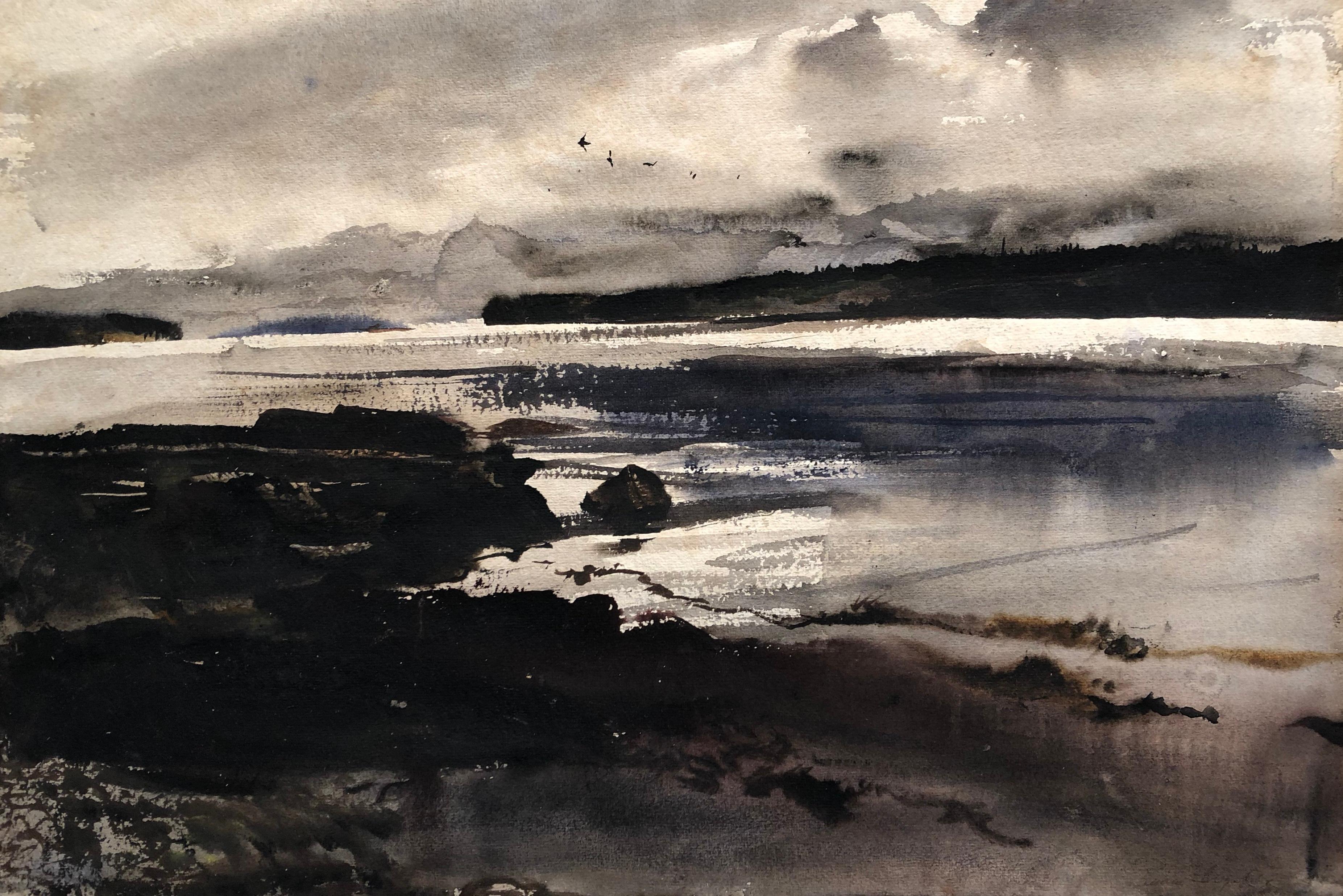 Andrew Wyeth Landscape Painting - Sea Birds