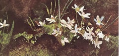 Andrew Wyeth, May Day, from The Four Seasons (after)