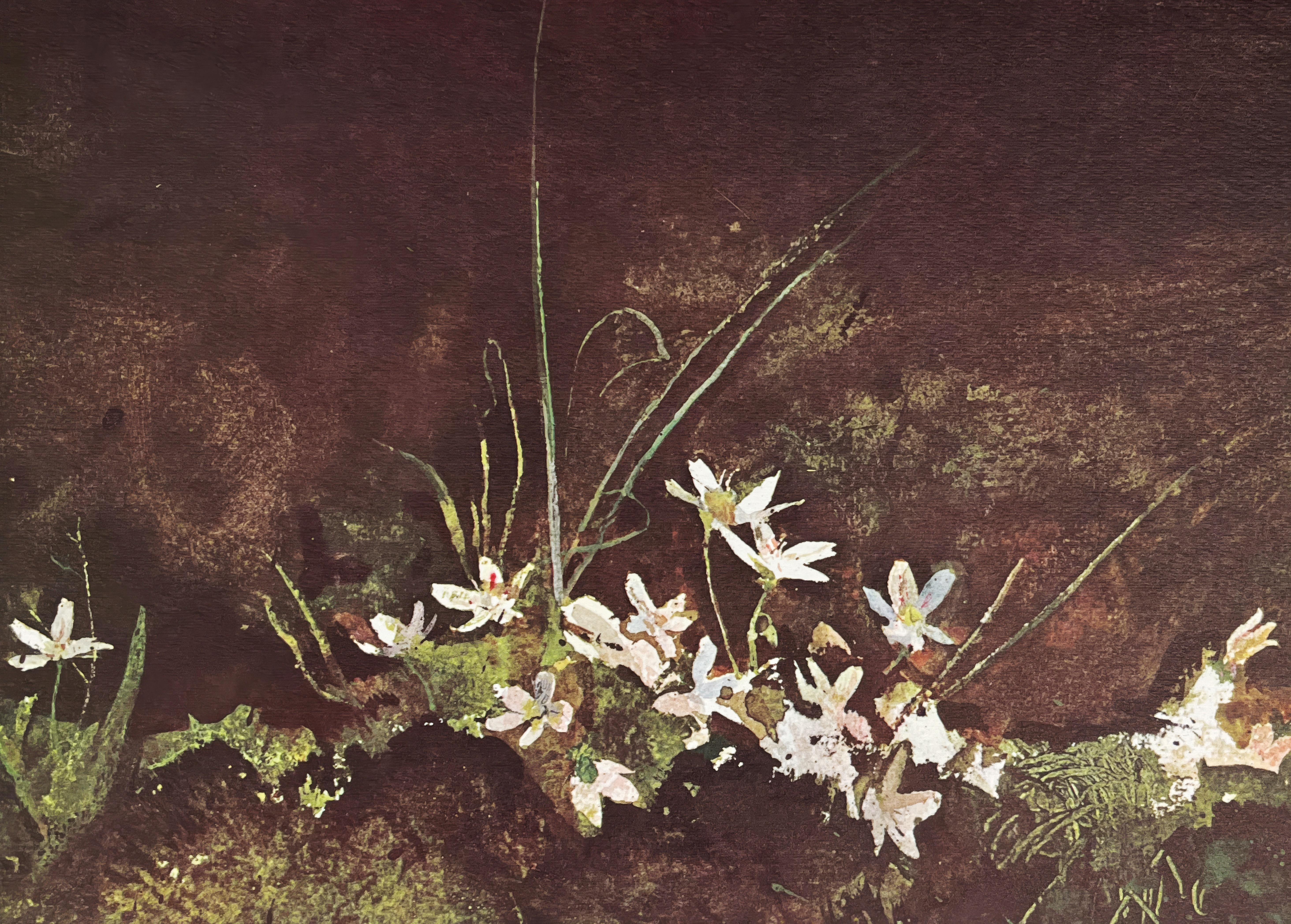 Andrew Wyeth, May Day, from The Four Seasons (after)