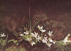 Andrew Wyeth, May Day, from The Four Seasons (after)