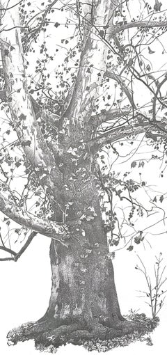 Andrew Wyeth, New Leaves, from The Four Seasons (after)