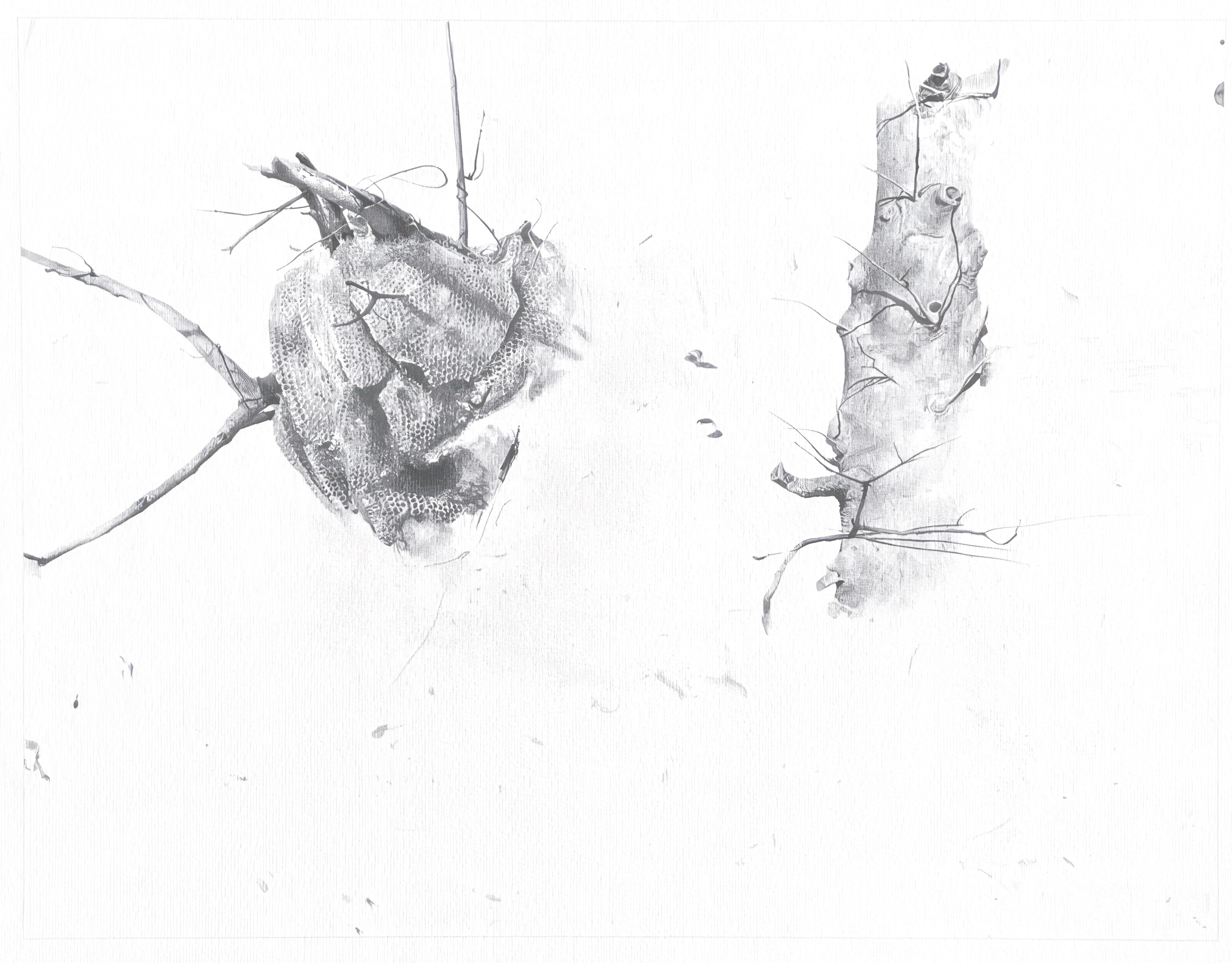 This exquisite lithograph after Andrew Wyeth (1917–2009), titled Storing Up, originates from the distinguished 1962 folio The Four Seasons: Paintings and Drawings by Andrew Wyeth. Published and printed by Art in America Company, Inc., New York, the