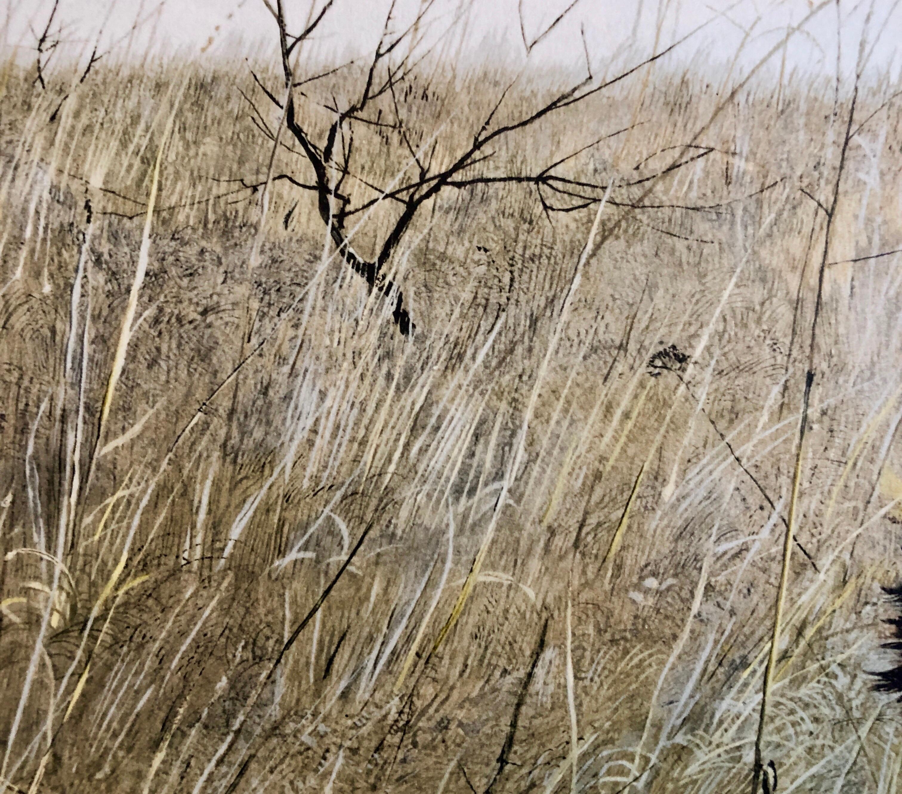 Seltener Collotype-Druck von Andrew Wyeth aus der signierten Edition Americana Kunstwerk, 1956 2