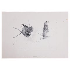 "Storing Up" Organic Abstract Print from the Collection Of Mrs. Andrew Wyeth