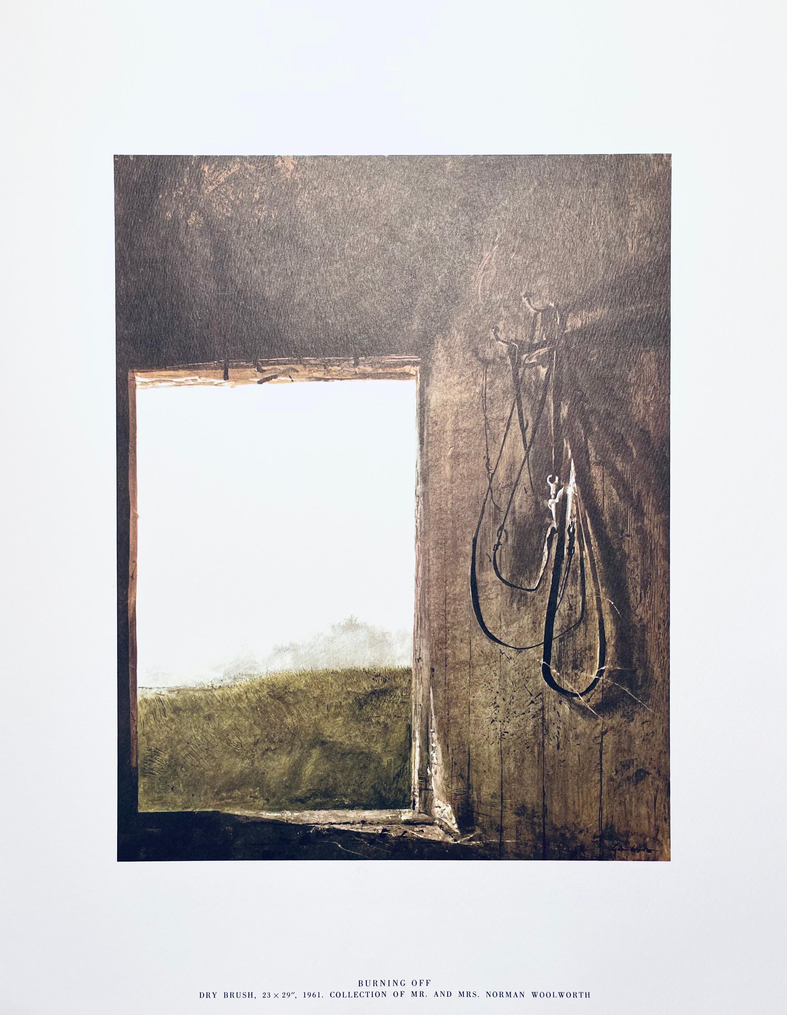 andrew wyeth documentary