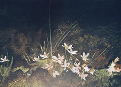 Estampes - Paysage - Milieu du XXe siècle