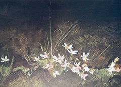 Wyeth, May Day, The Four Seasons (dopo)