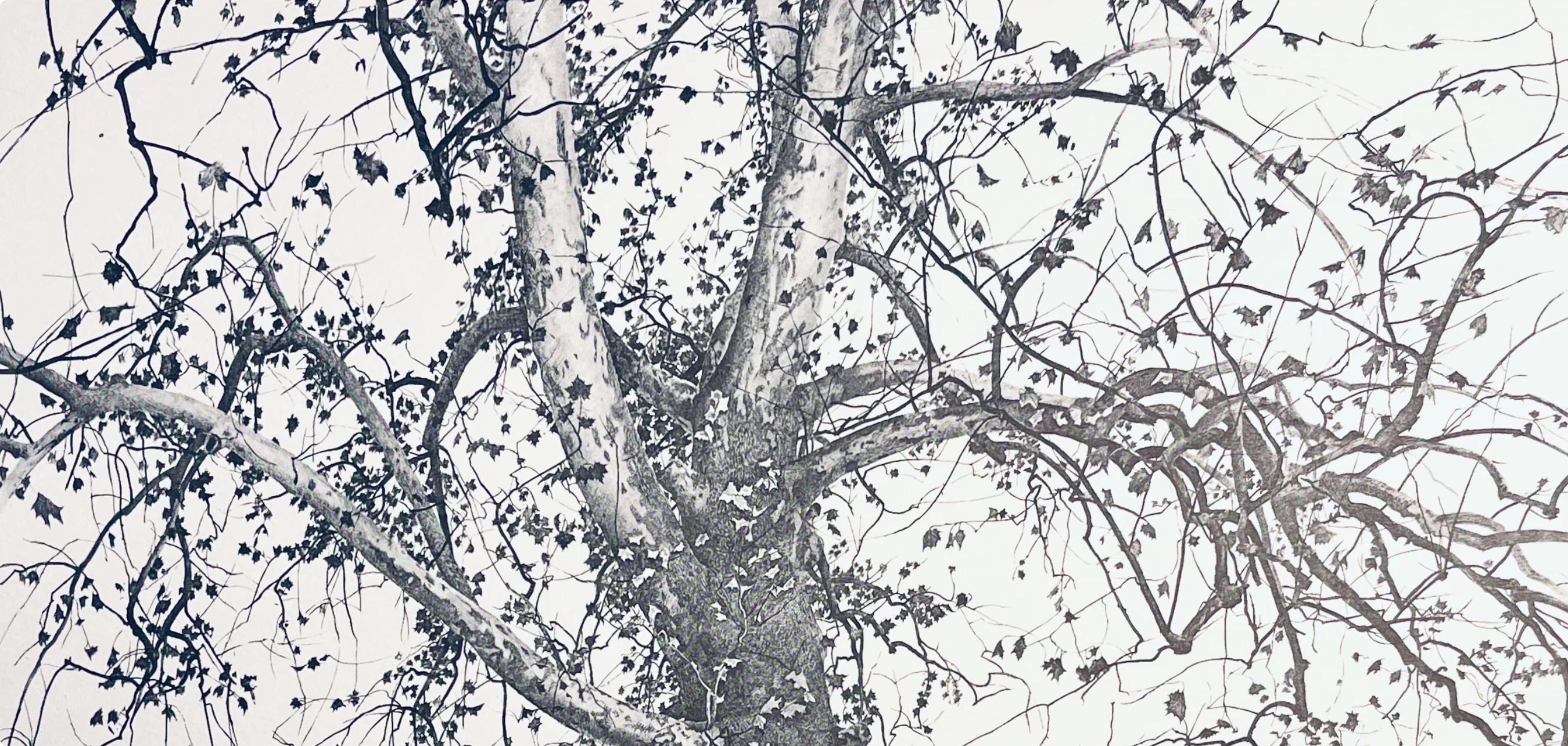 Wyeth, New Leaves, The Four Seasons (after) - Print by Andrew Wyeth