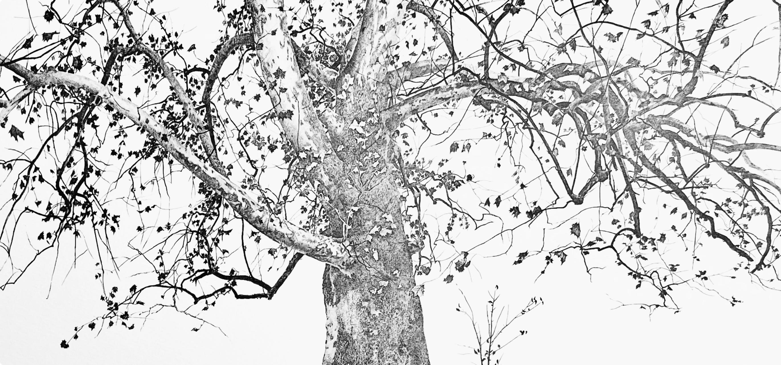 Wyeth (tariff free*), New Leaves, The Four Seasons (after) - Print by Andrew Wyeth