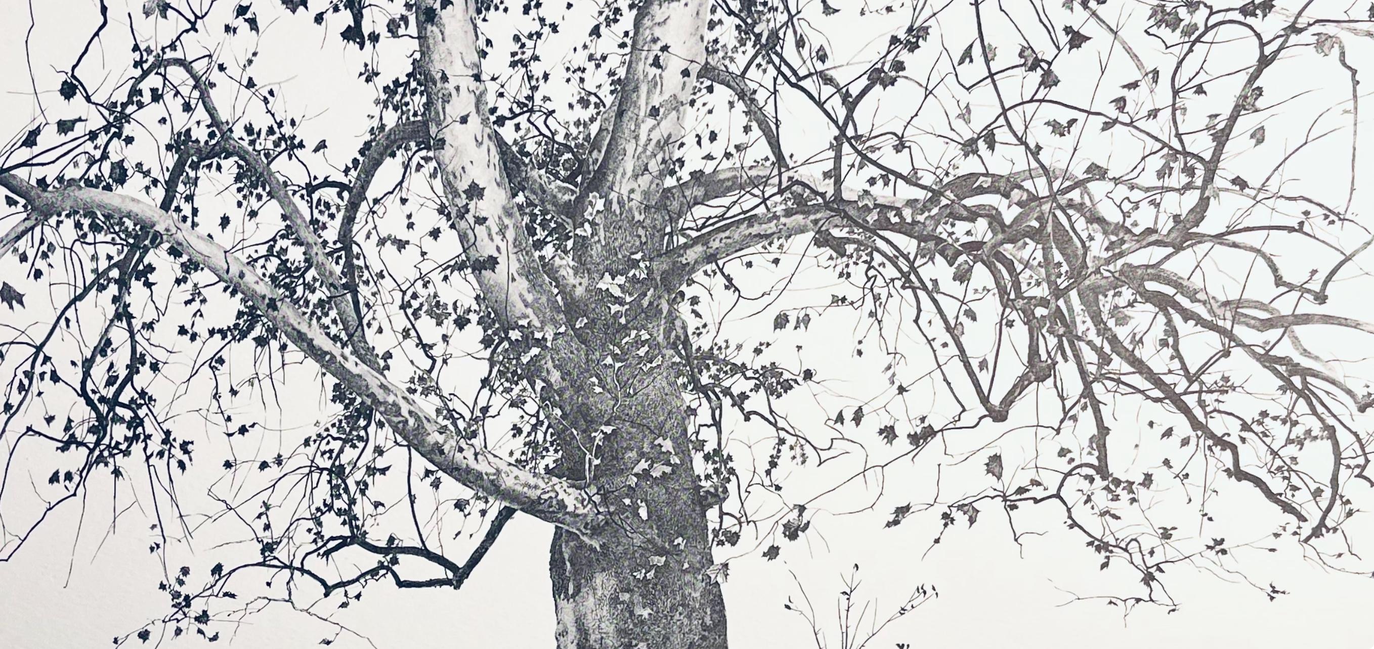 Wyeth, New Leaves, The Four Seasons (after) - American Realist Print by Andrew Wyeth