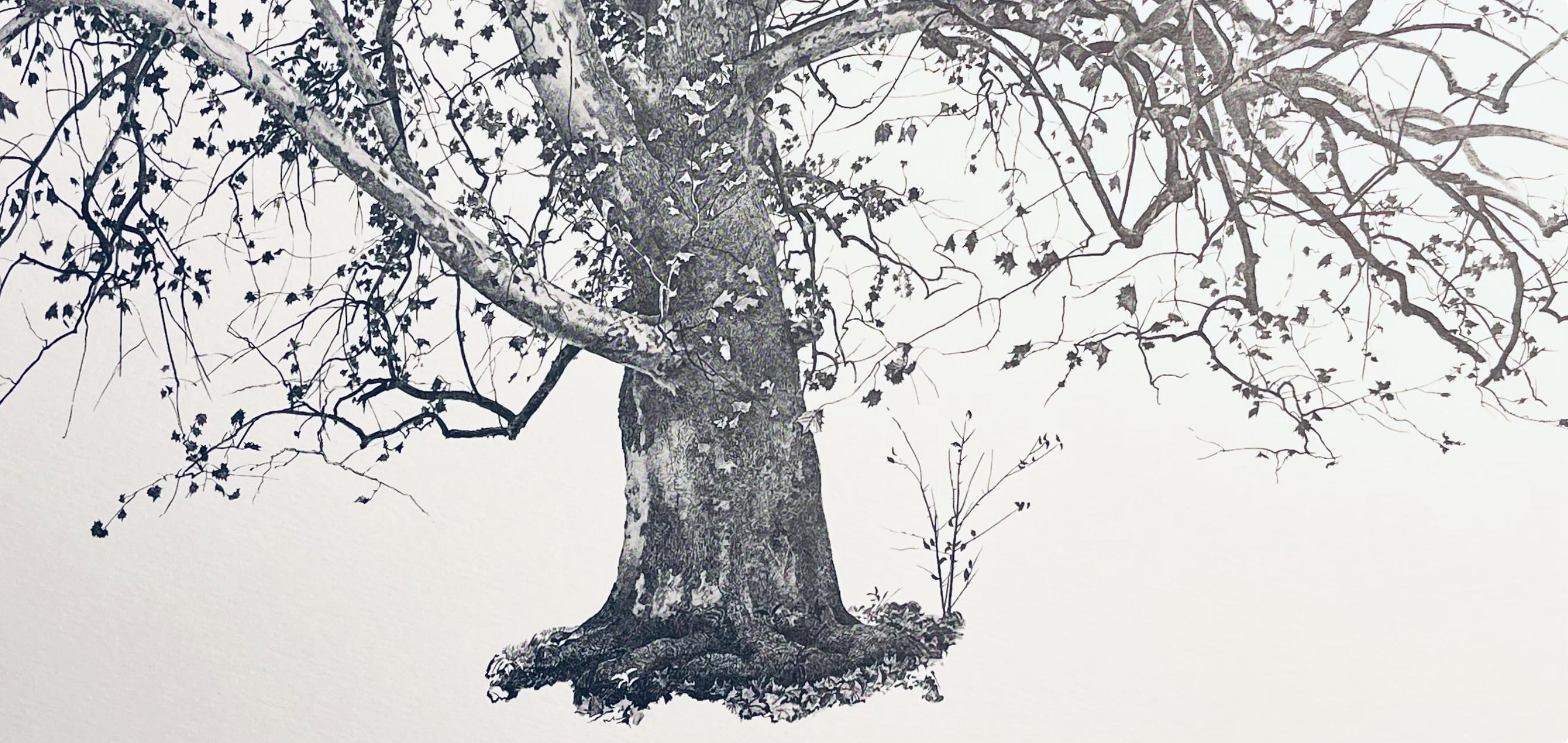 Wyeth, New Leaves, The Four Seasons (after) - Gray Landscape Print by Andrew Wyeth