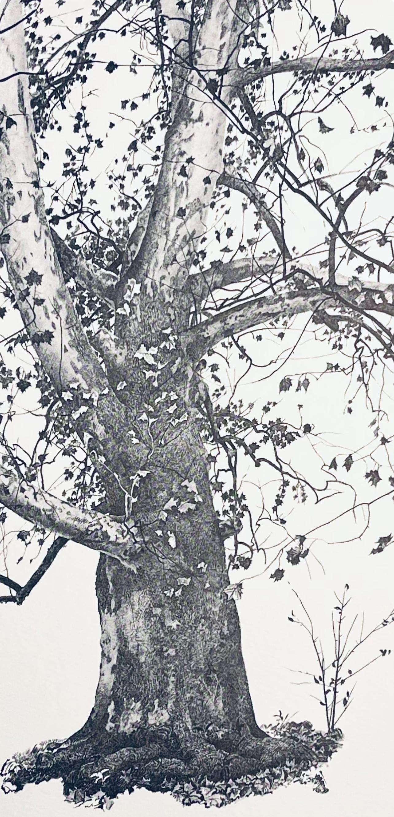Lithograph on vélin paper. Unsigned and unnumbered, as issued. Good condition. Published and printed by Art in America, New York in an edition of CDVII/D. From the folio, The Four Seasons, Paintings and Drawings by Andrew Wyeth, 1962. Excerpted from