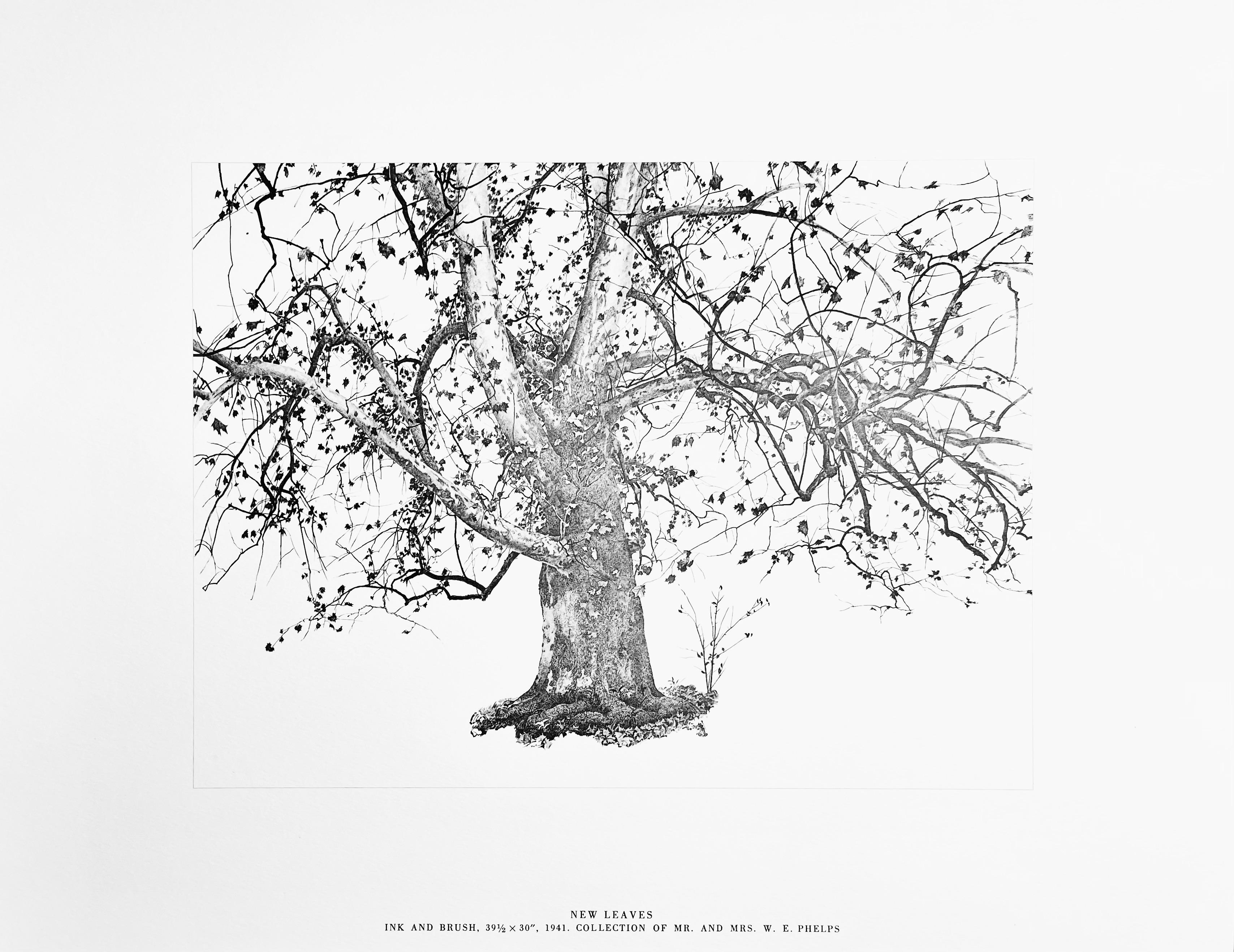Lithograph on vélin paper. Paper Size: 13 x 17 inches. Inscription: Unsigned and unnumbered, as issued. Notes: From the folio, The Four Seasons, Paintings and Drawings by Andrew Wyeth, 1962. Published and printed by Art in America Company, Inc., New