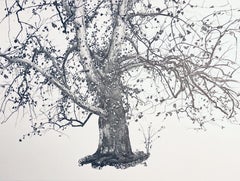 Wyeth, Nuevas hojas, Las Cuatro Estaciones (después)