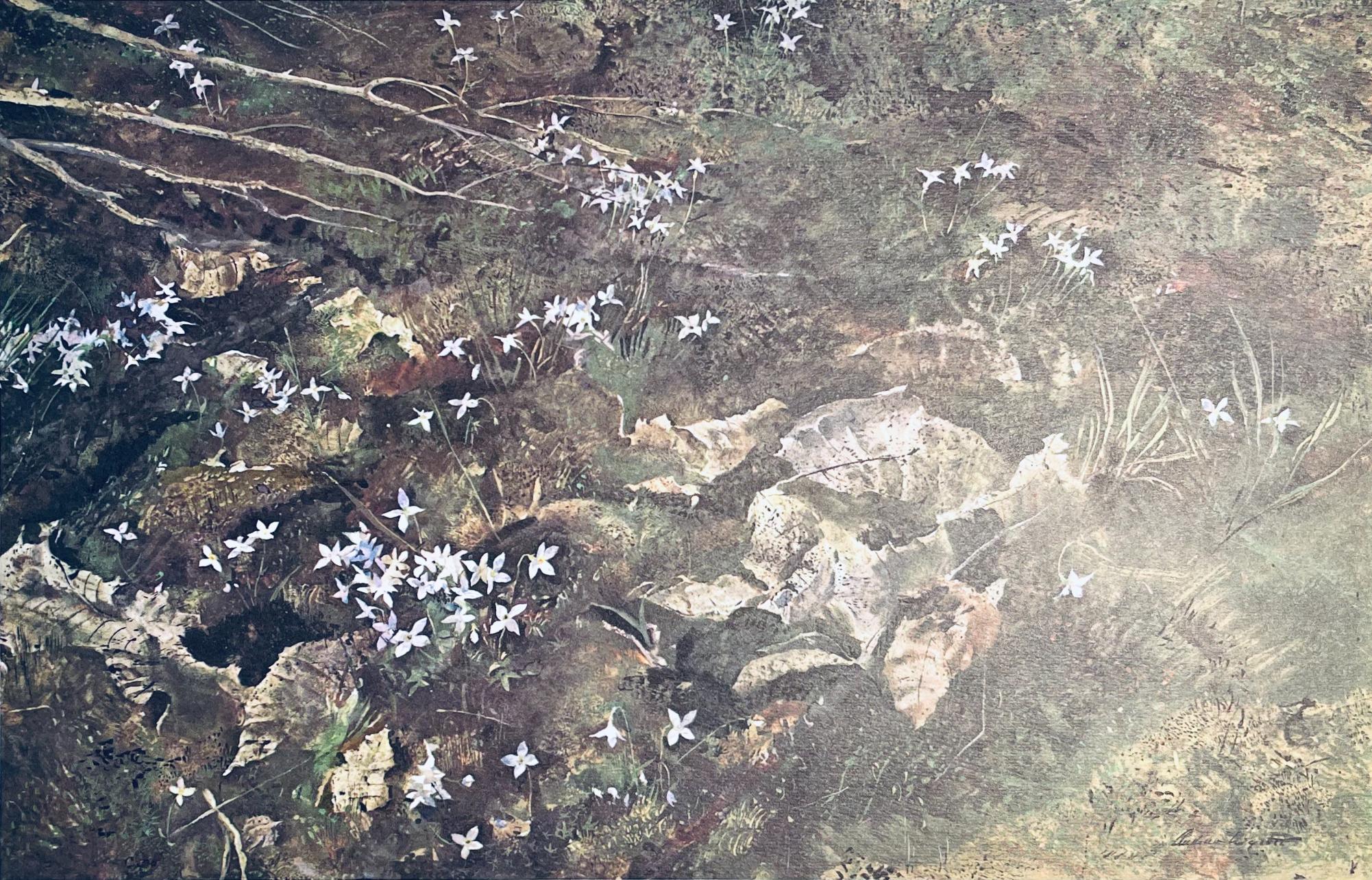 Wyeth, Quaker Ladies, The Four Seasons (after)