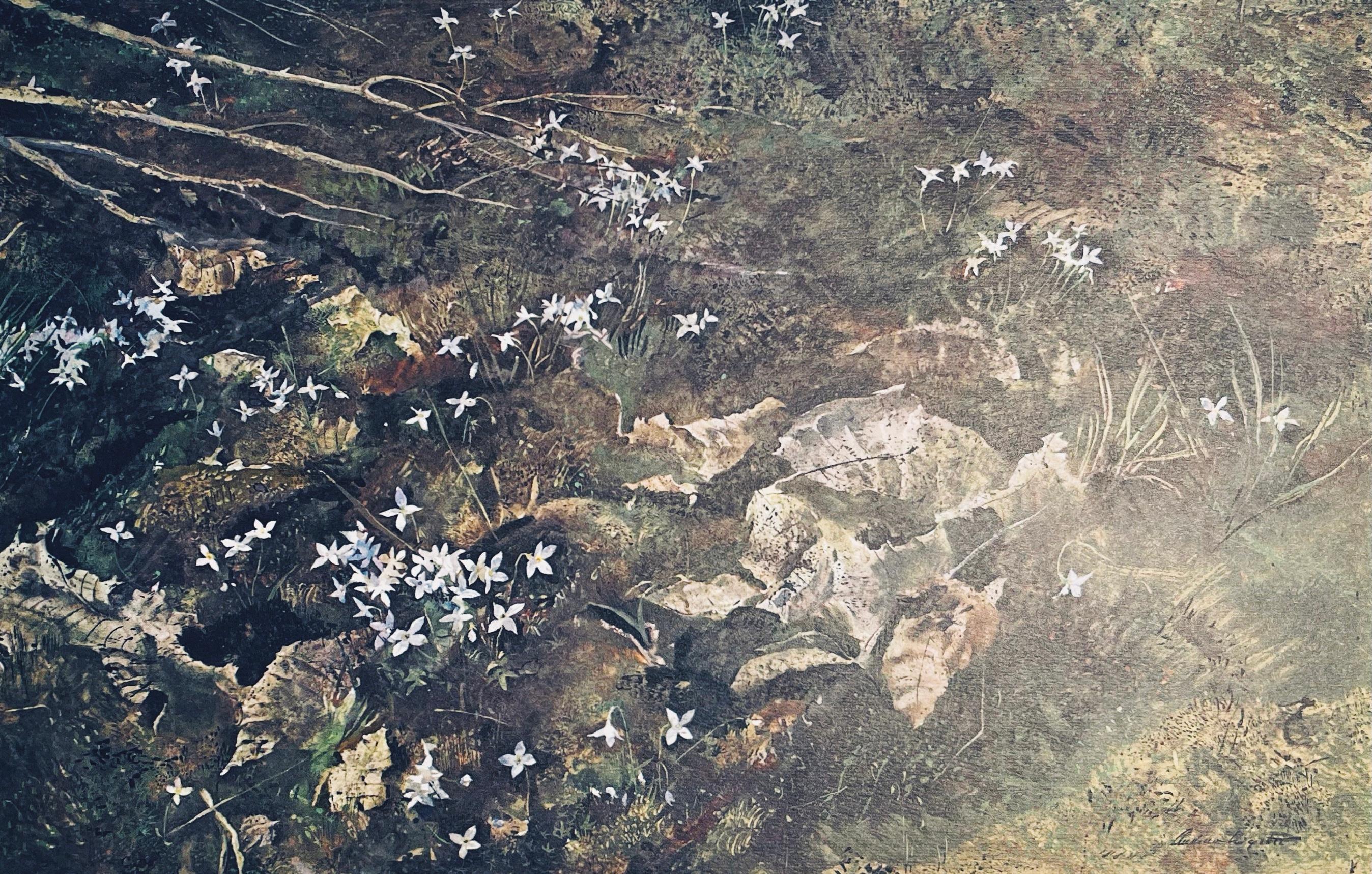 Wyeth (tariff free*), Quaker Ladies, The Four Seasons (after)