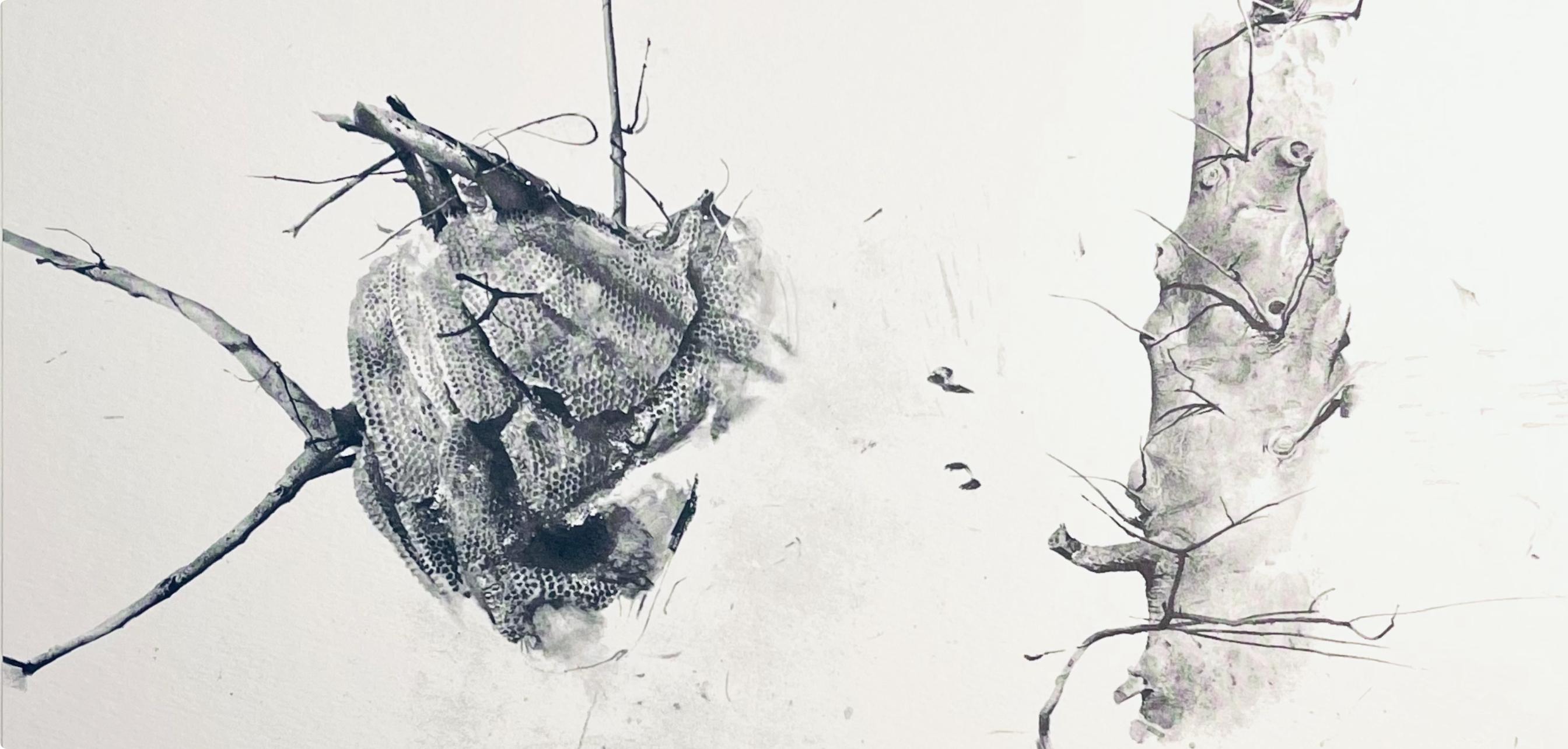 andrew wyeth four seasons