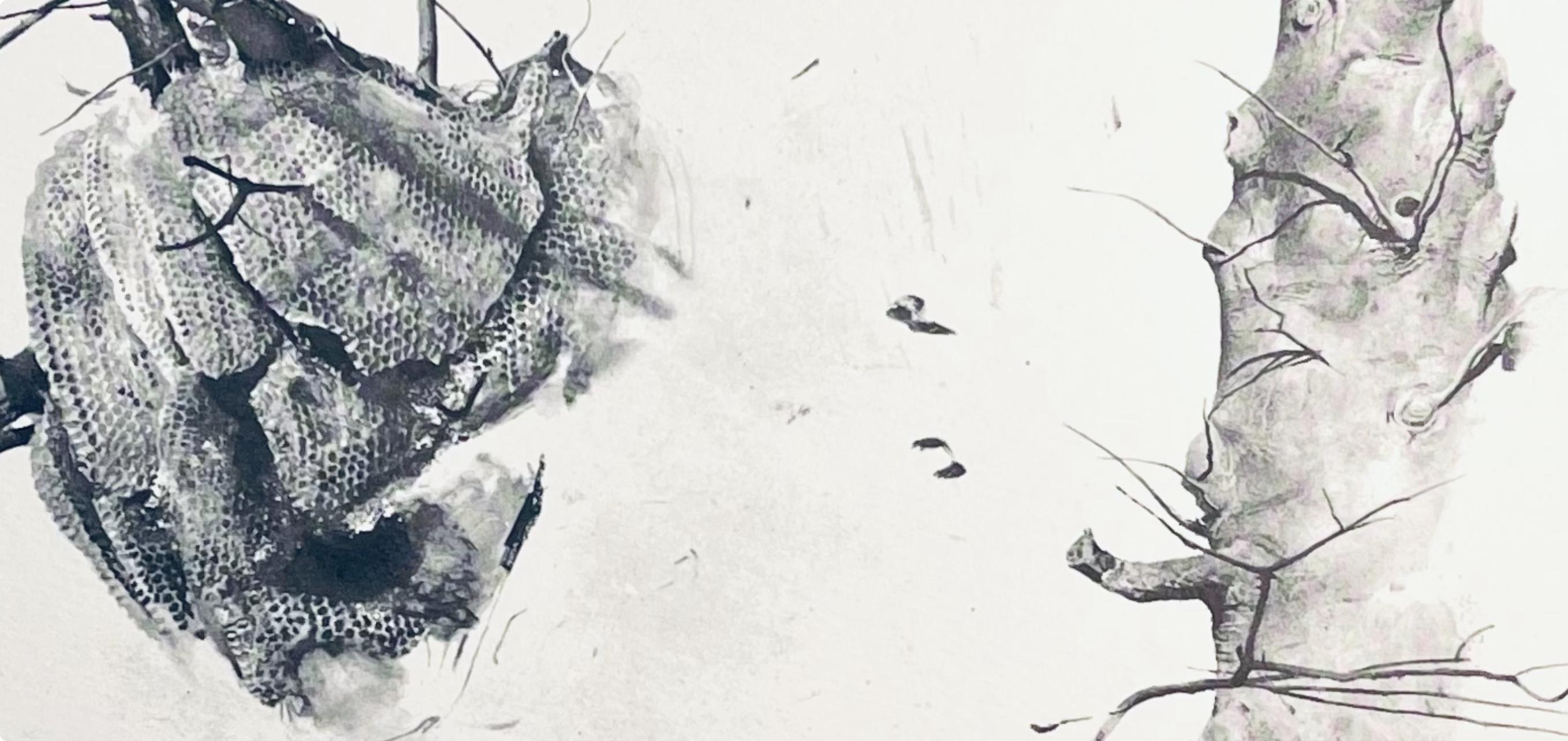 Lithograph on vélin paper. Unsigned and unnumbered, as issued. Good condition. Published and printed by Art in America, New York in an edition of CDVII/D. From the folio, The Four Seasons, Paintings and Drawings by Andrew Wyeth, 1962. Excerpted from