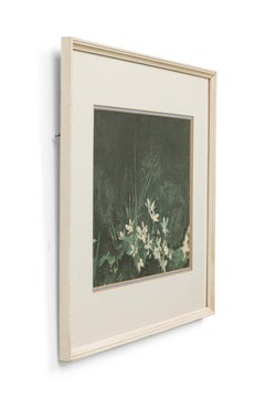 Litografia americana di metà secolo di Andrew Wyeth intitolata "May Day".