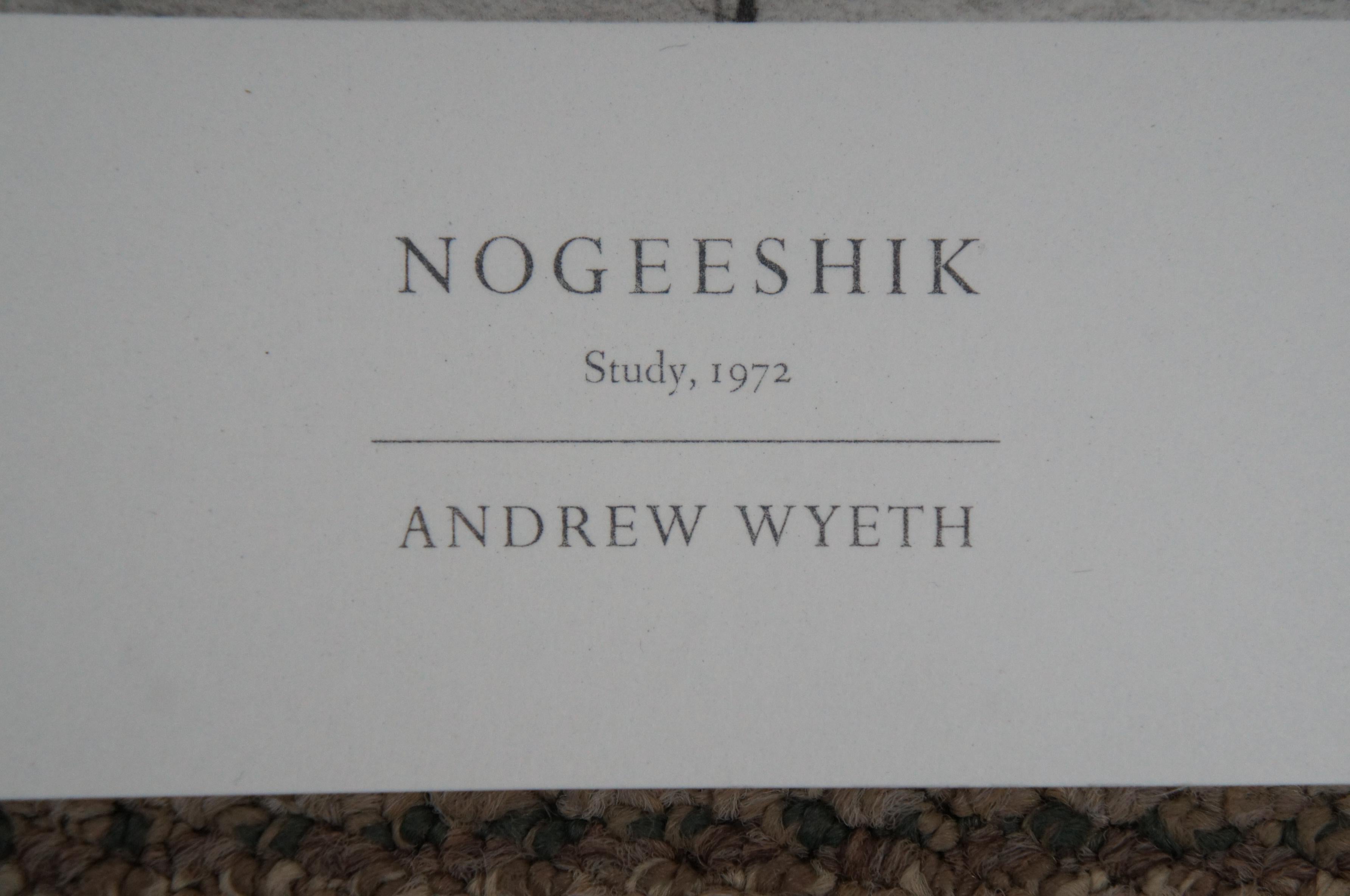 Andrew Wyeth Collotype Print Nogeeshik Native Portrait 1976 Metropolitan Museum 1