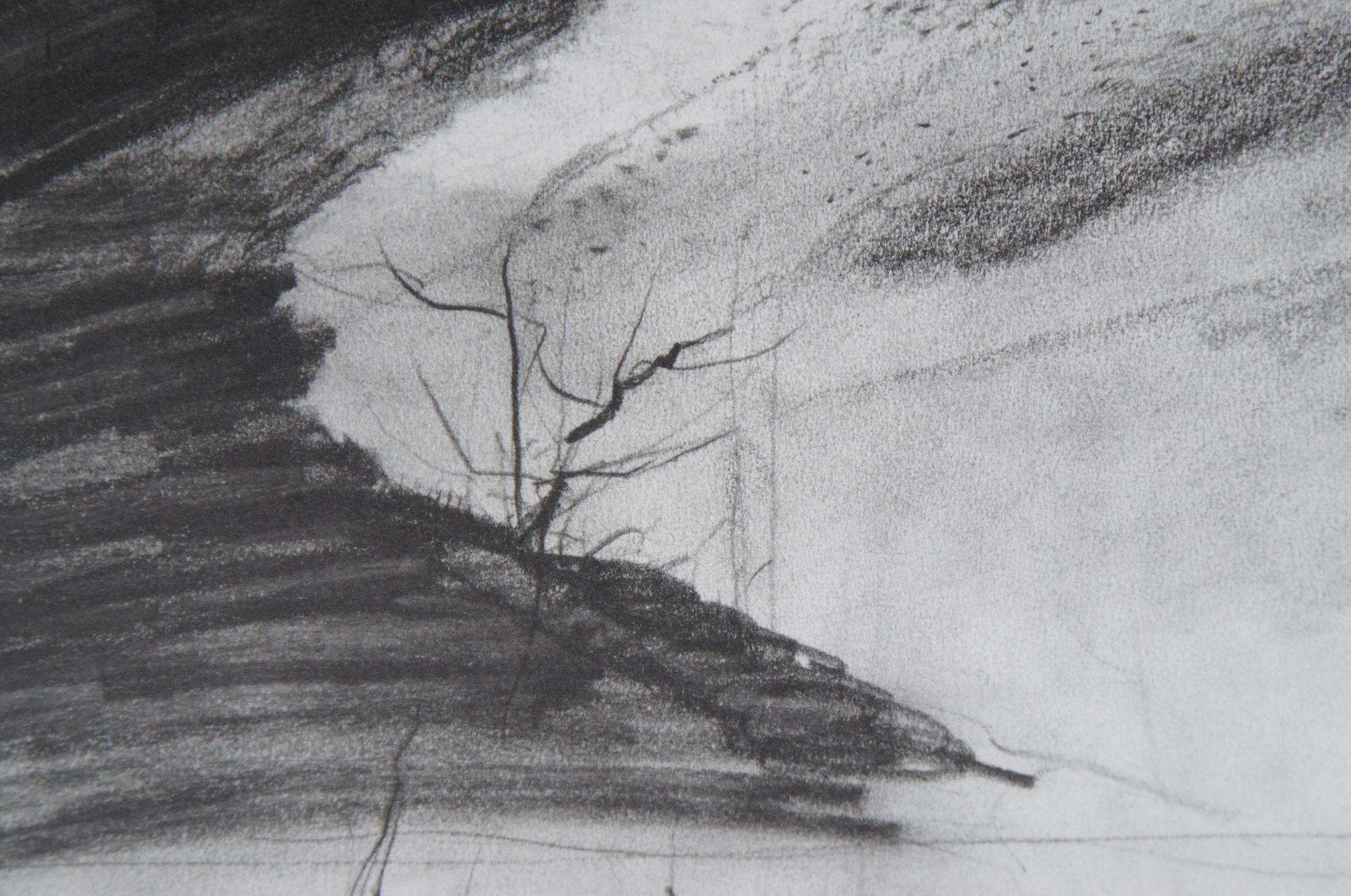 Paper Andrew Wyeth Collotype Print Snow Flurries Landscape 1976 Metropolitan Museum 24